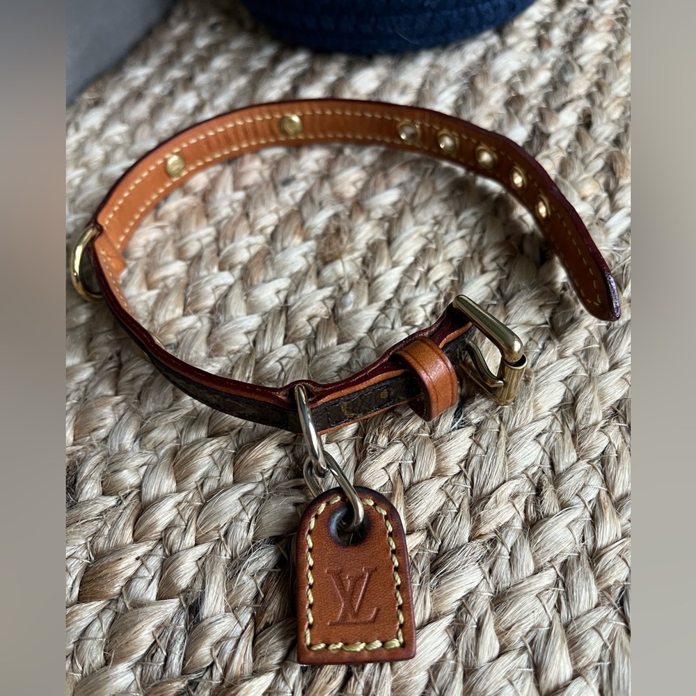 Louis Vuitton PM Dog Collar in Monogram